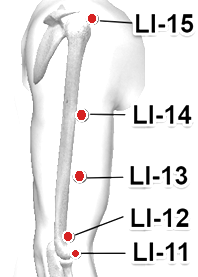 Location of L.I.-15 (Jianyu)